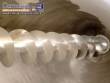 Linha para fabrica��o de achocolatado p�