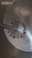 Tanque misturador encamisado em inox el�trico com h�lice centrifuga tipo Cowles 80 litros