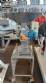 Processador triturador em inox AGMAC 100 kg / h