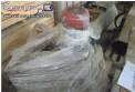 Bomba perist�ltica SPX