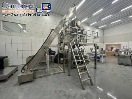 Embaladora envasadora multi cabe�a multicabe�ote corrugada para produtos s�lidos congelados em potes