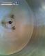 Tanque em a�o inox Plurinox