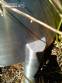 Tanque de armazenamento em a�o inox 600 litros